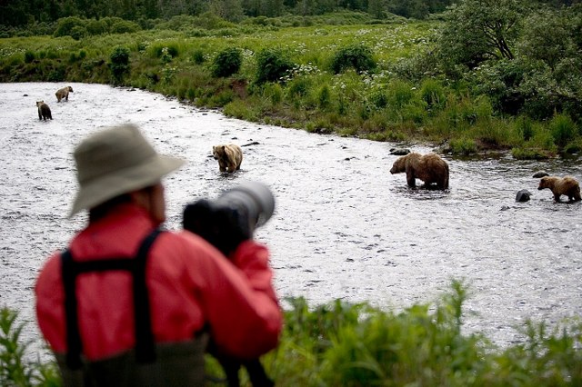 Guided Bear Viewing in Alaska